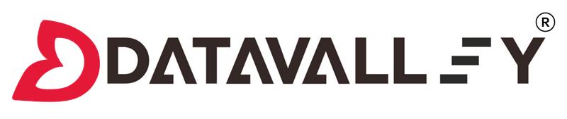 Datavalley Logo